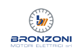 Bronzoni Motori Elettrici 单相和三相异步电念头